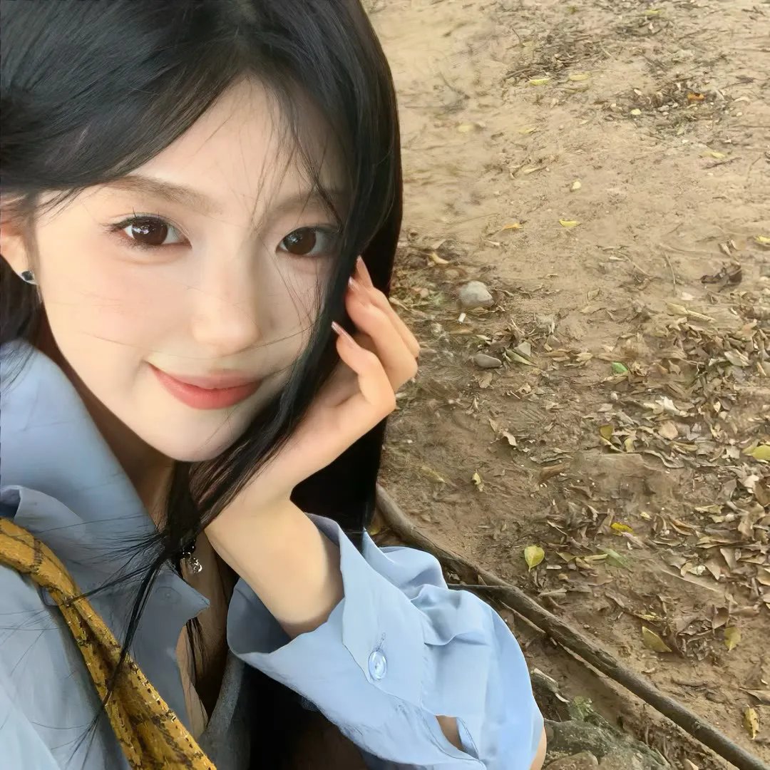 萌犬好声音2